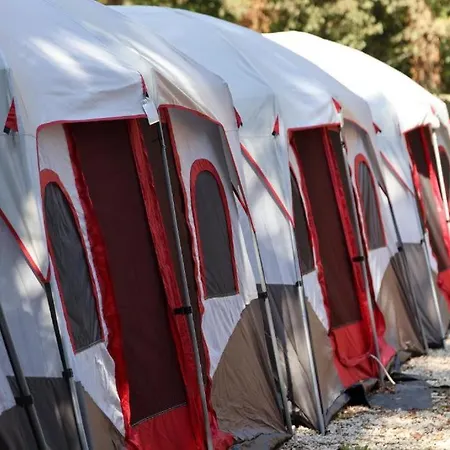 Easy Campsite *